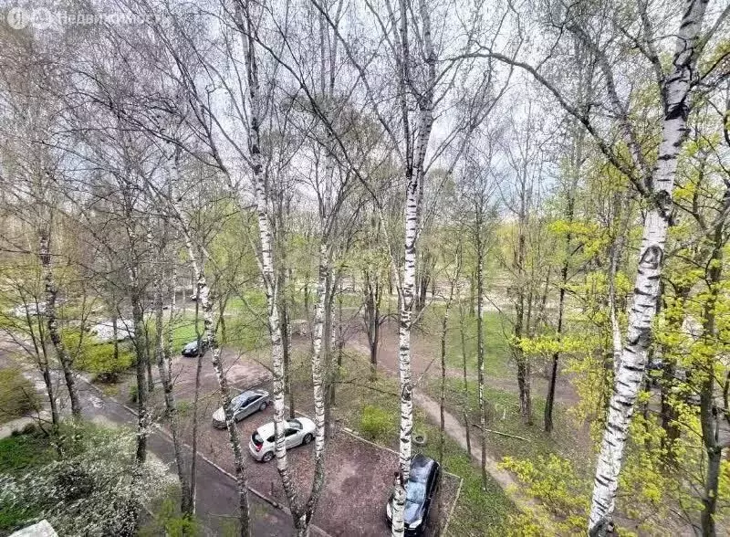 2-комнатная квартира: Ярославль, улица Блюхера, 56 (44.5 м) - Фото 1