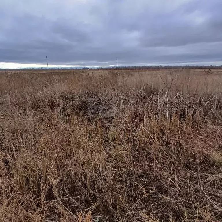 Участок в Оренбургская область, Сакмарский район, с. Беловка ул. ... - Фото 1