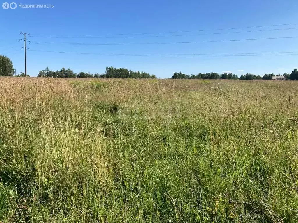 Участок в деревня Гридино, Юбилейная улица (30 м) - Фото 0