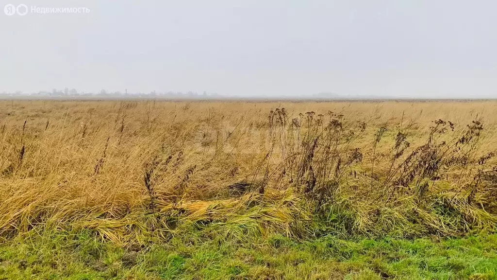 Участок в Медведевский район, Пекшиксолинское сельское поселение, ... - Фото 2