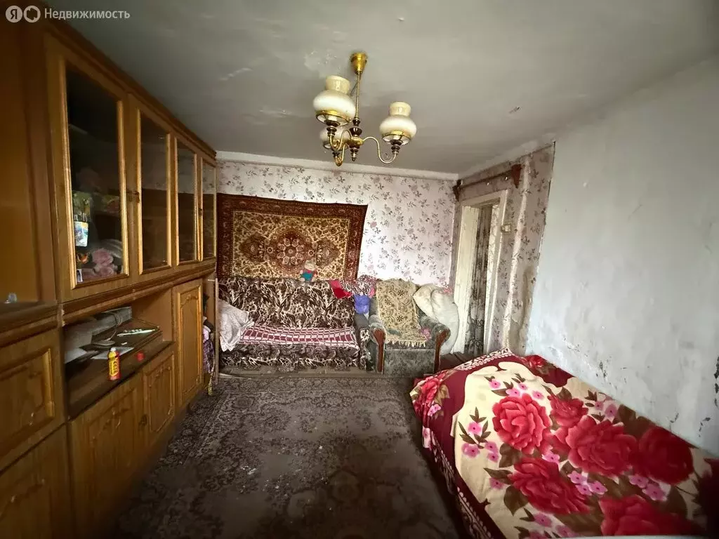 1-комнатная квартира: село Петровское, Петровская улица, 7 (25.4 м) - Фото 2