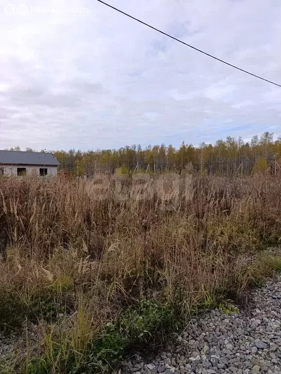 Участок в посёлок Плодопитомник, Еловая улица (7.2 м) - Фото 1