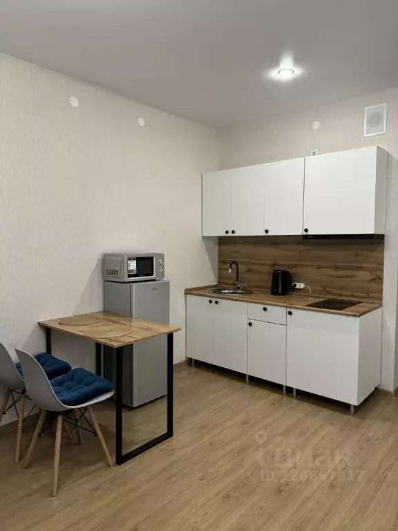 Студия Пермский край, д. Кондратово ул. Водопроводная, 1 (28.0 м) - Фото 2