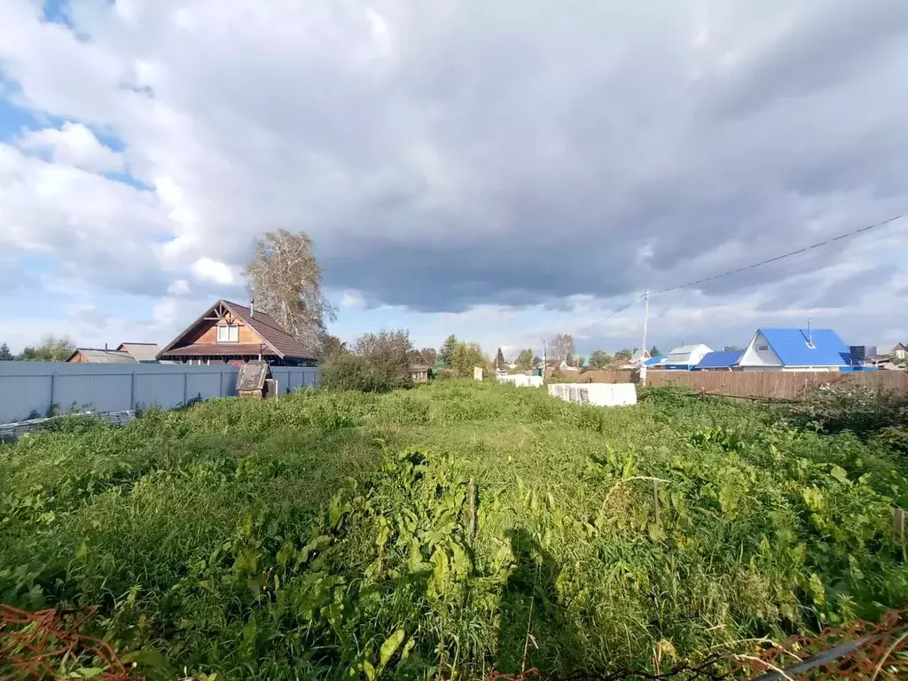 Участок в Новосибирская область, Новосибирский район, Кудряшовский ... - Фото 0