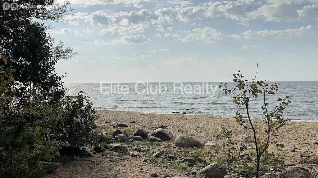 Участок в посёлок Ушково, Приморское шоссе, 613 (260 м) - Фото 2