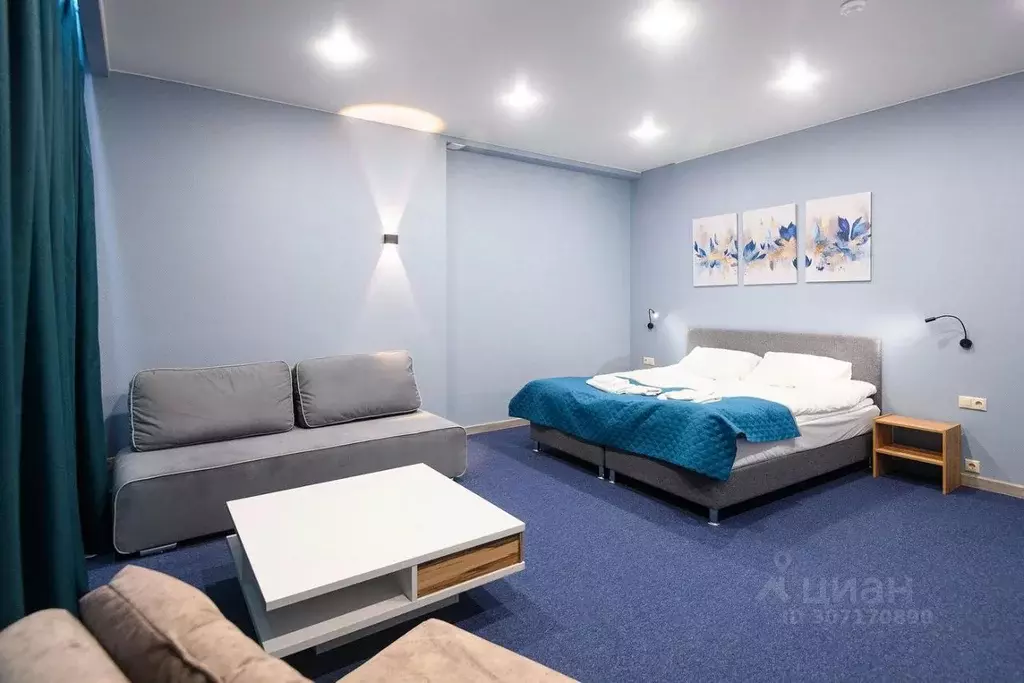 Комната Санкт-Петербург ул. Есенина, 1к1 (20.0 м) - Фото 1