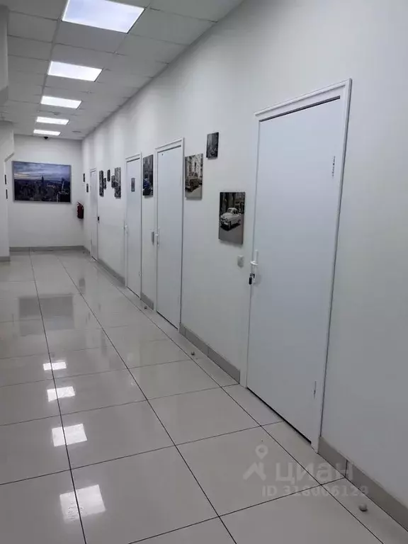 Офис в Новосибирская область, Новосибирск Академгородок мкр, ул. ... - Фото 1