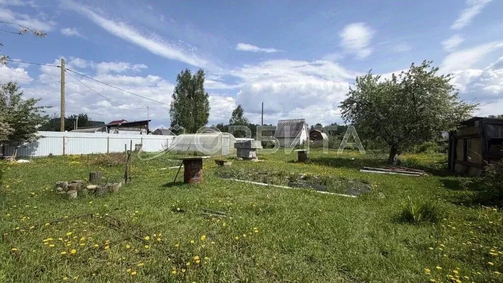 Участок в Тюменская область, Тюмень Березовая роща СНТ, ул. Осенняя ... - Фото 1