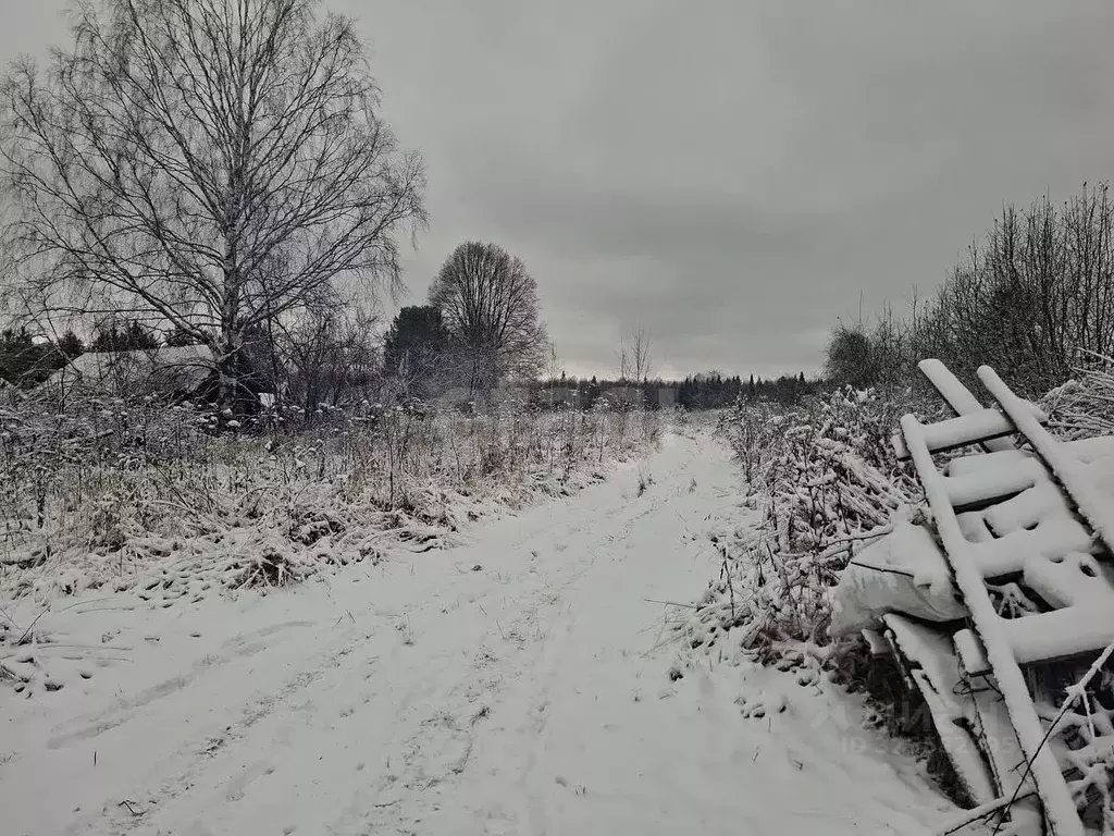 Участок в Свердловская область, Нижний Тагил ул. Забойщиков, 3 (16.0 ... - Фото 2