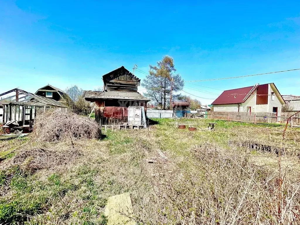 Участок в Томская область, Томск Бурундук СНТ, ул. Клубничная (5.2 ... - Фото 1