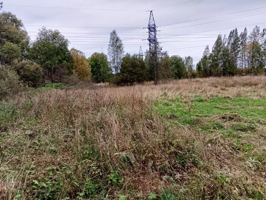 Участок в Новгородская область, Окуловский муниципальный район, ... - Фото 2