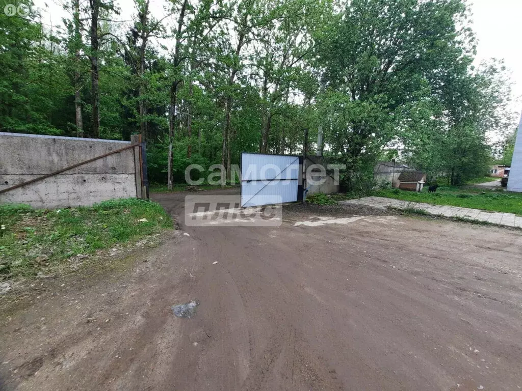 Помещение свободного назначения (270 м) - Фото 1