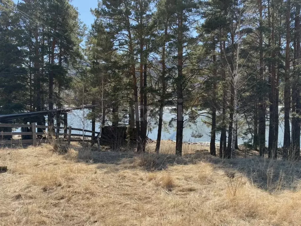 Участок в Алтай, Чемальский район, Узнезинское с/пос, Узун Калама тер. ... - Фото 2