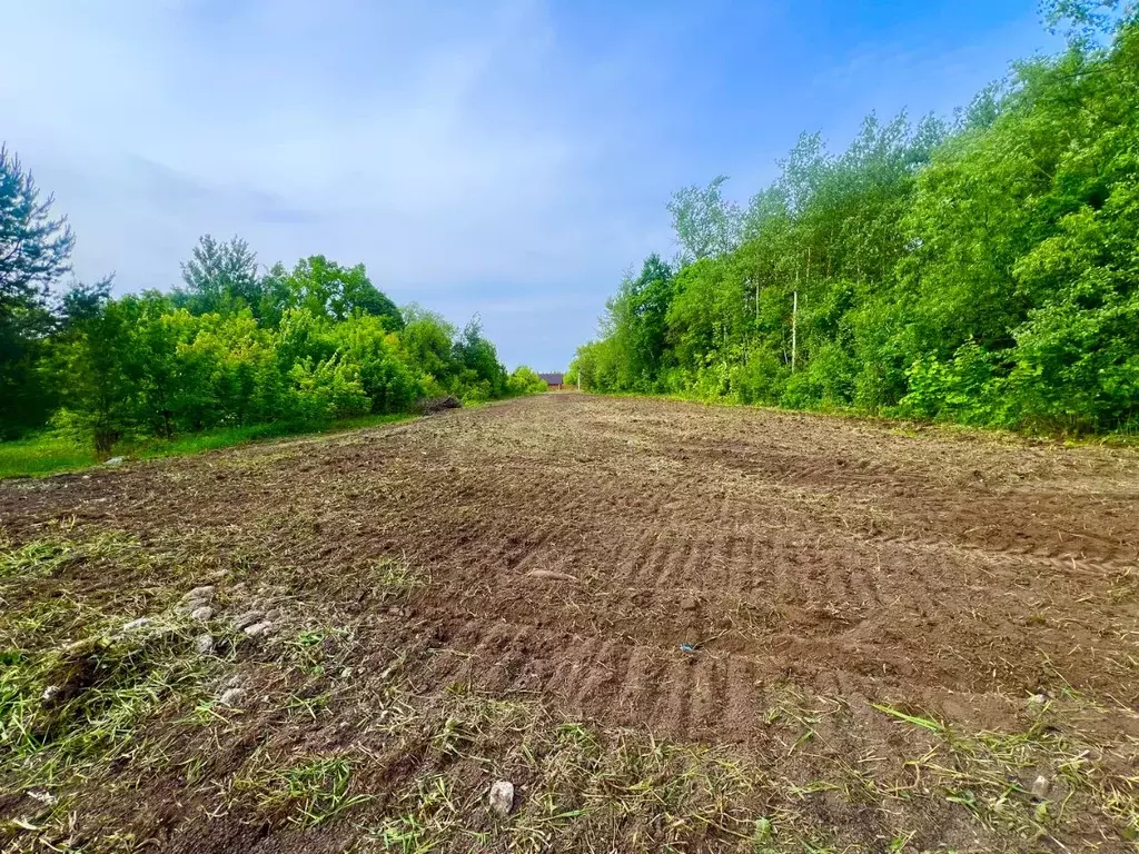 Участок в Московская область, Кашира городской округ, д. Клубня ул. ... - Фото 1