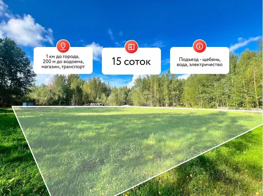 Участок в Костромская область, Кадыйский муниципальный округ, д. ... - Фото 1