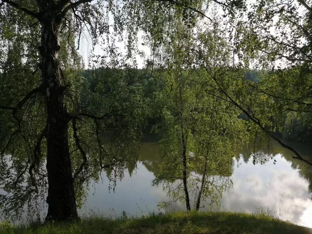 Участок, 10 сот., поселения (ижс) - Фото 1