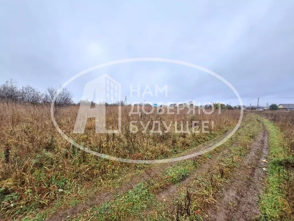 Участок в Пермский край, Чернушка РОНО СНТ,  (12.0 сот.) - Фото 2