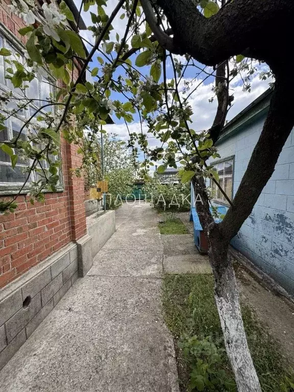 Дом в Ростовская область, Батайск Ангарская ул. (80 м) - Фото 1