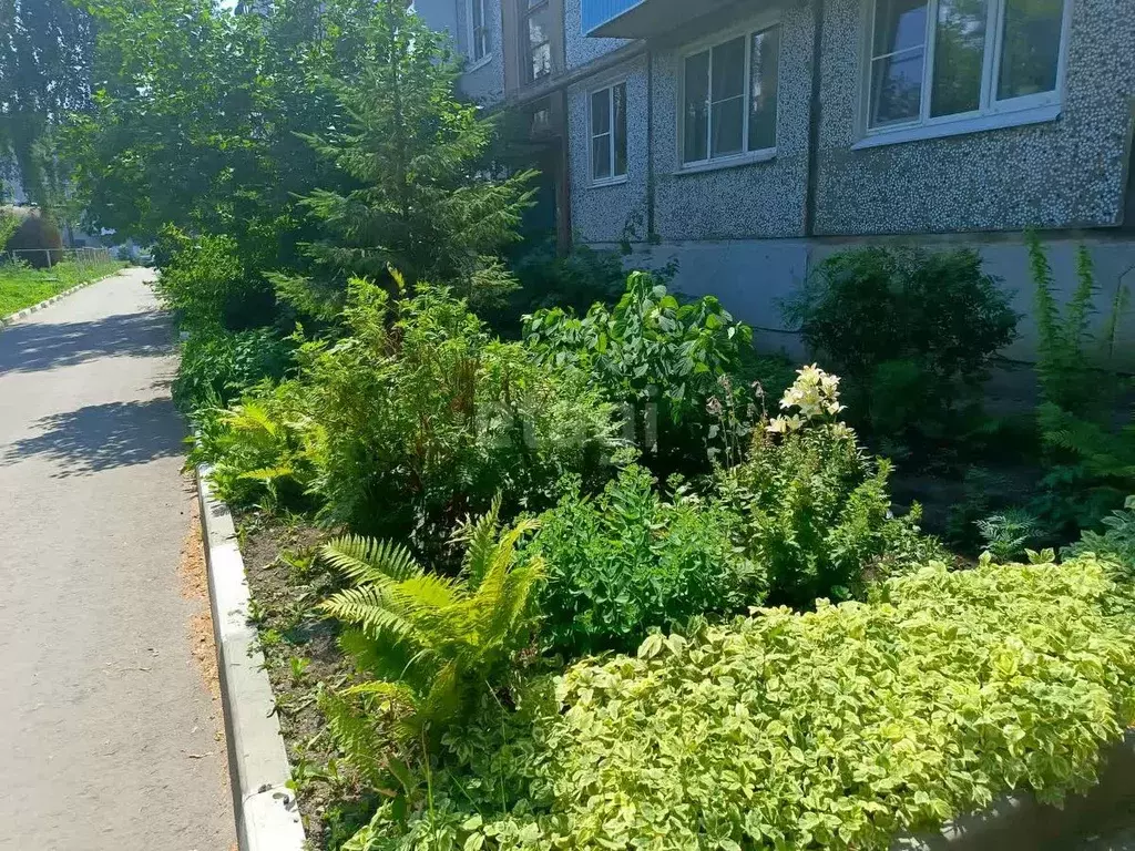 2-к кв. Тульская область, Донской Северо-Задонск мкр, Строительный ... - Фото 2