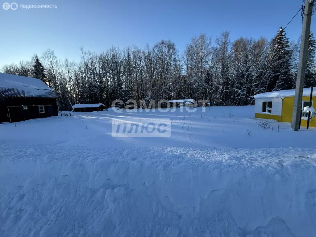 Участок в Республика Коми, муниципальный район Сыктывдинский, село ... - Фото 2