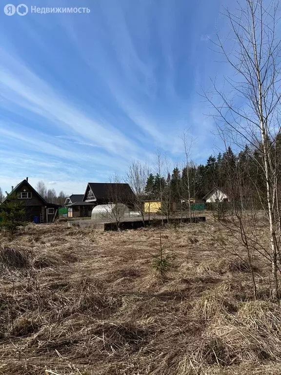 Участок в Любанское городское поселение, деревня Ивановское, Песчаная ... - Фото 1