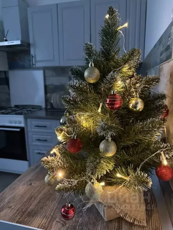 Дом в Краснодарский край, Анапа Алексеевка мкр, ул. Зеленая, 25 (60 м) - Фото 2