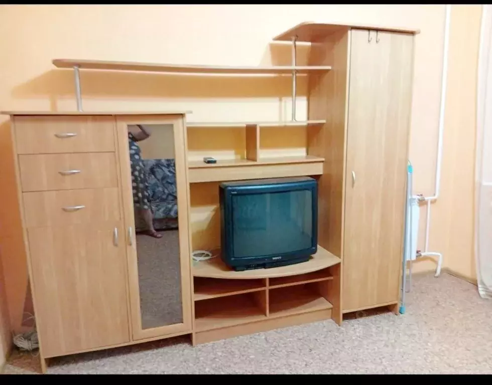 1-к кв. Новосибирская область, Новосибирск ул. Ломоносова, 61 (32.0 м) - Фото 2