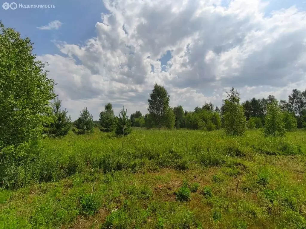 Участок в Московская область, Раменский муниципальный округ, ... - Фото 2