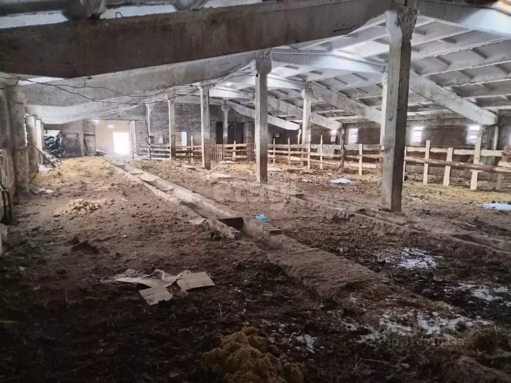 Помещение свободного назначения в Тамбовская область, Тамбовский ... - Фото 1