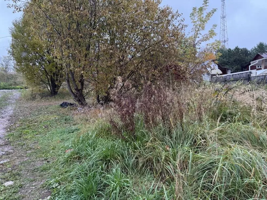 Участок в Московская область, Одинцовский городской округ, д. Ягунино  ... - Фото 1