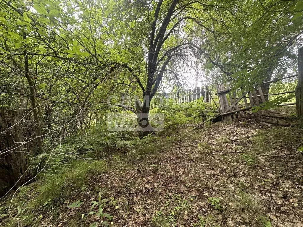 Участок в Марий Эл, Звениговский район, Кокшайское с/пос, д. Семеновка ... - Фото 2