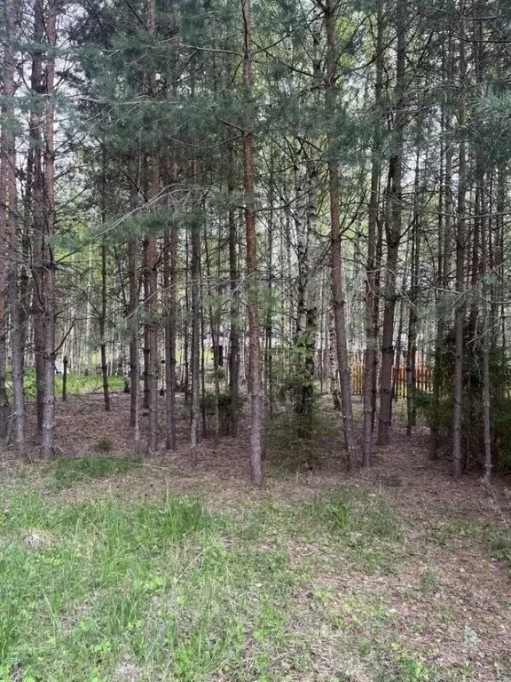 Участок в Нижегородская область, Городецкий муниципальный округ, ... - Фото 0