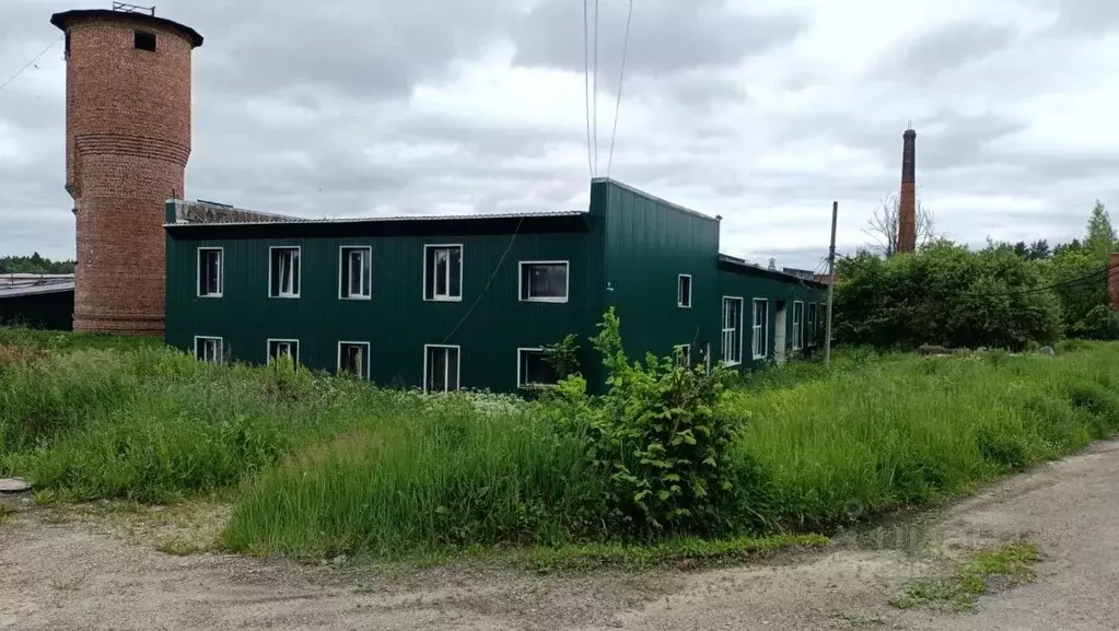 Производственное помещение в Калужская область, Думиничский район, с. ... - Фото 2