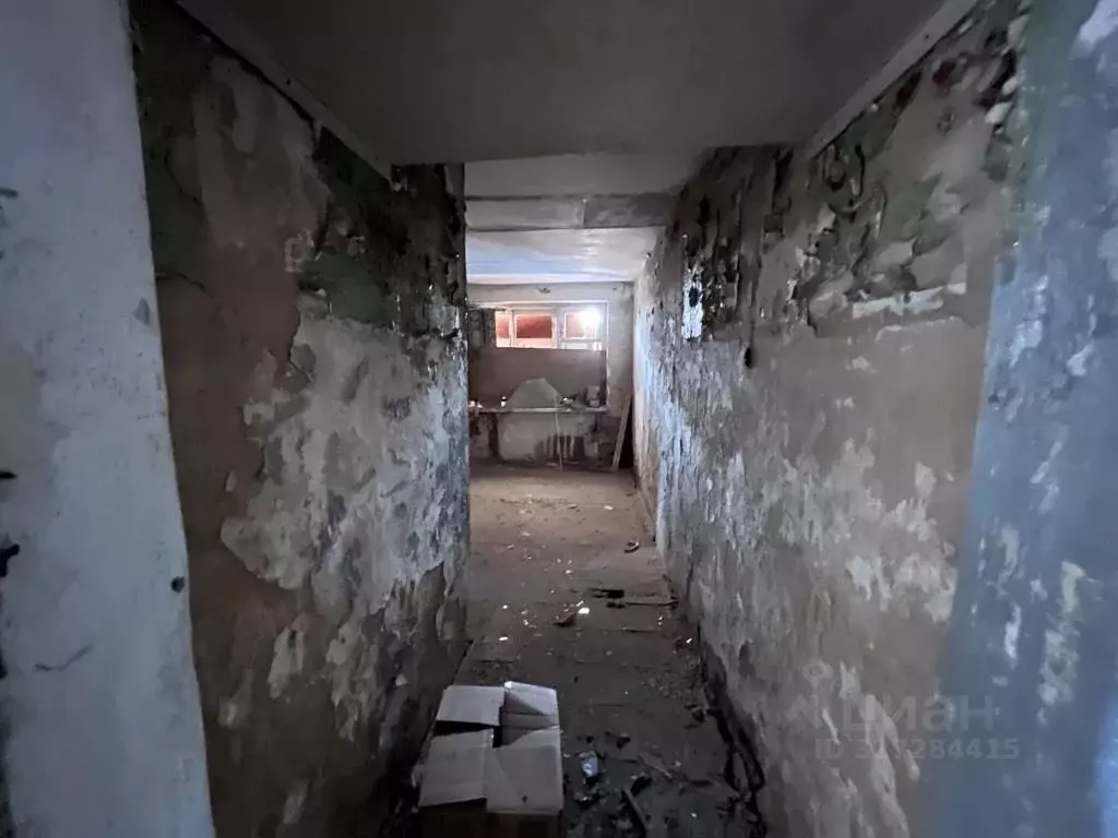 Помещение свободного назначения в Приморский край, Ольгинский ... - Фото 1