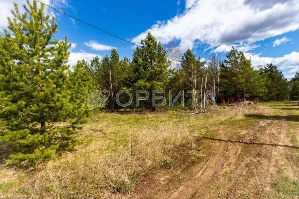 Участок в Тюменская область, Тюменский муниципальный округ, с. Успенка ... - Фото 1