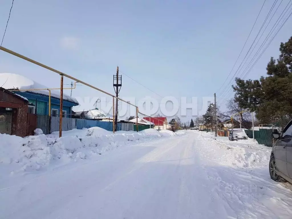 Участок в Новосибирская область, Коченевский район, Чик рп ул. ... - Фото 0