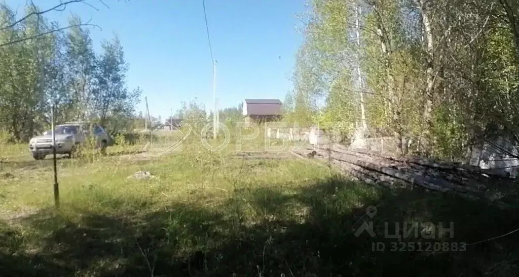 Участок в Тюменская область, Тюменский муниципальный округ, с. Муллаши ... - Фото 1