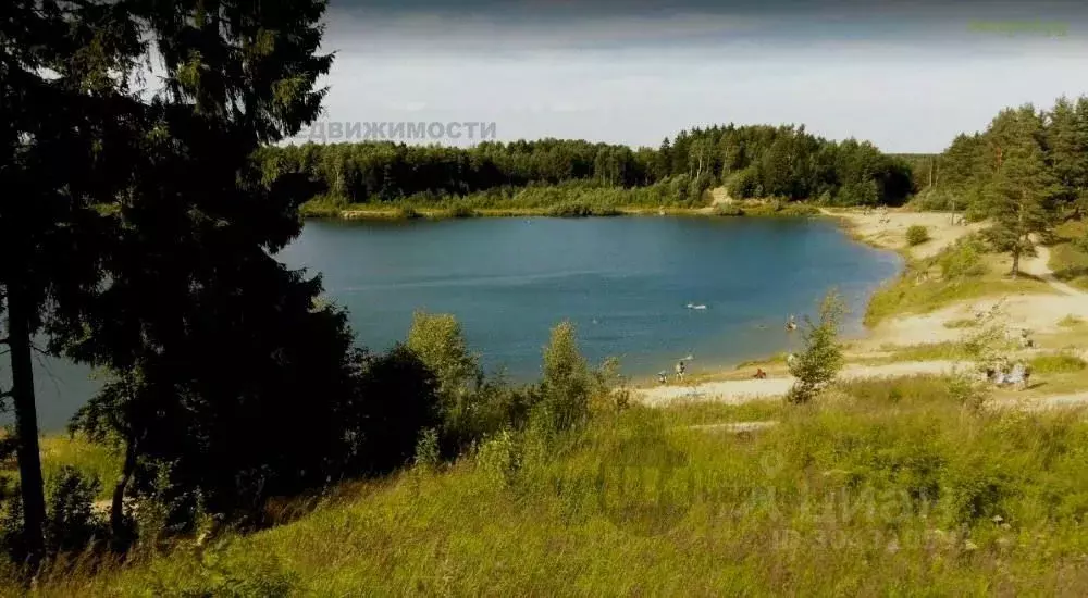 Участок в Ленинградская область, Всеволожский район, Романовское ... - Фото 1