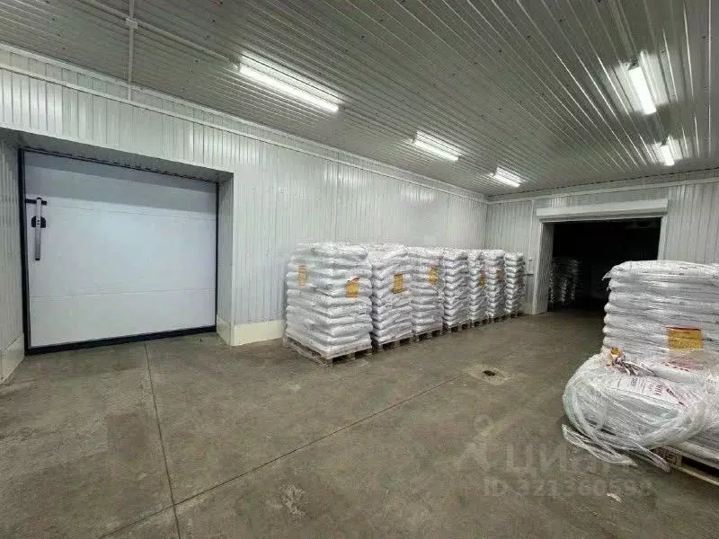 Помещение свободного назначения в Псковская область, Псков ... - Фото 2