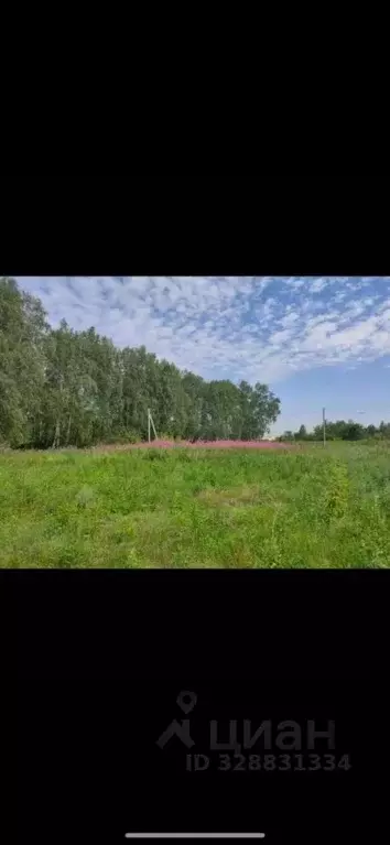 Участок в Омская область, Омский район муниципальный округ, пос. ... - Фото 2