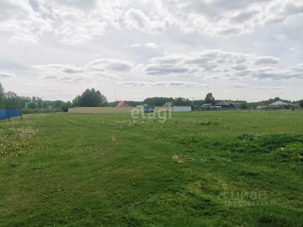 Участок в Тюменская область, Нижнетавдинский район, д. Белая Дуброва  ... - Фото 0