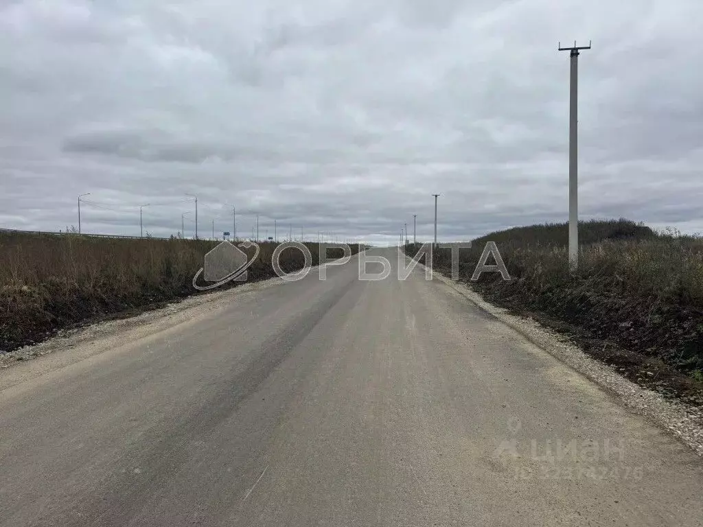 Участок в Тюменская область, Тюменский муниципальный округ, с. Успенка ... - Фото 1