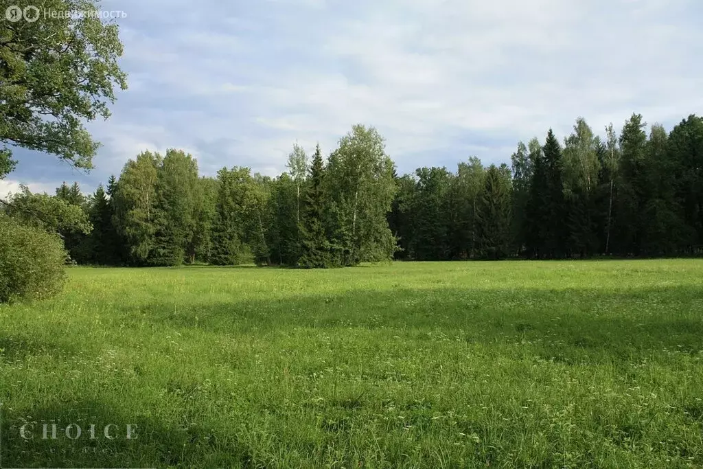 Участок в Одинцовский городской округ, деревня Папушево, КП Папушево ... - Фото 0
