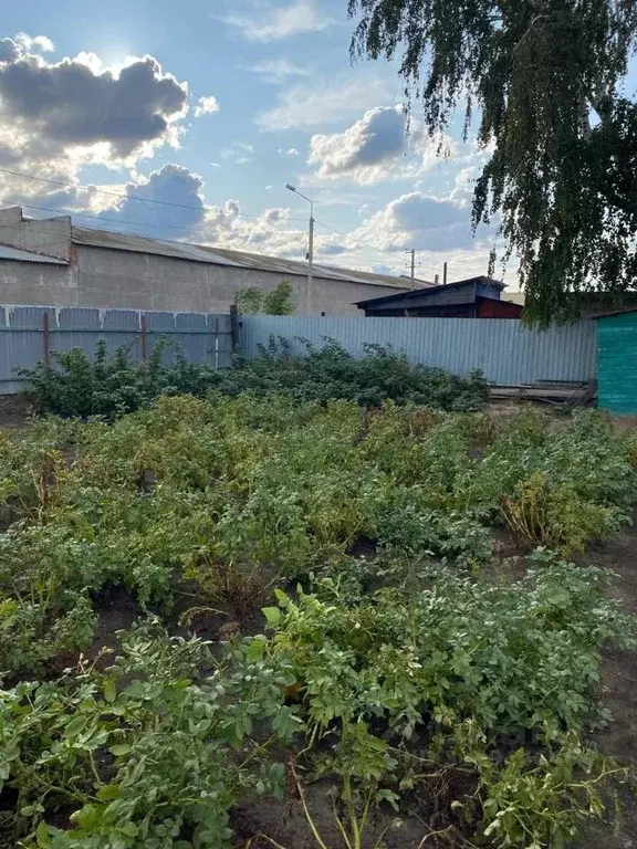Дом в Омская область, Омск ул. 5-я Самарская, 66 (25 м) - Фото 1