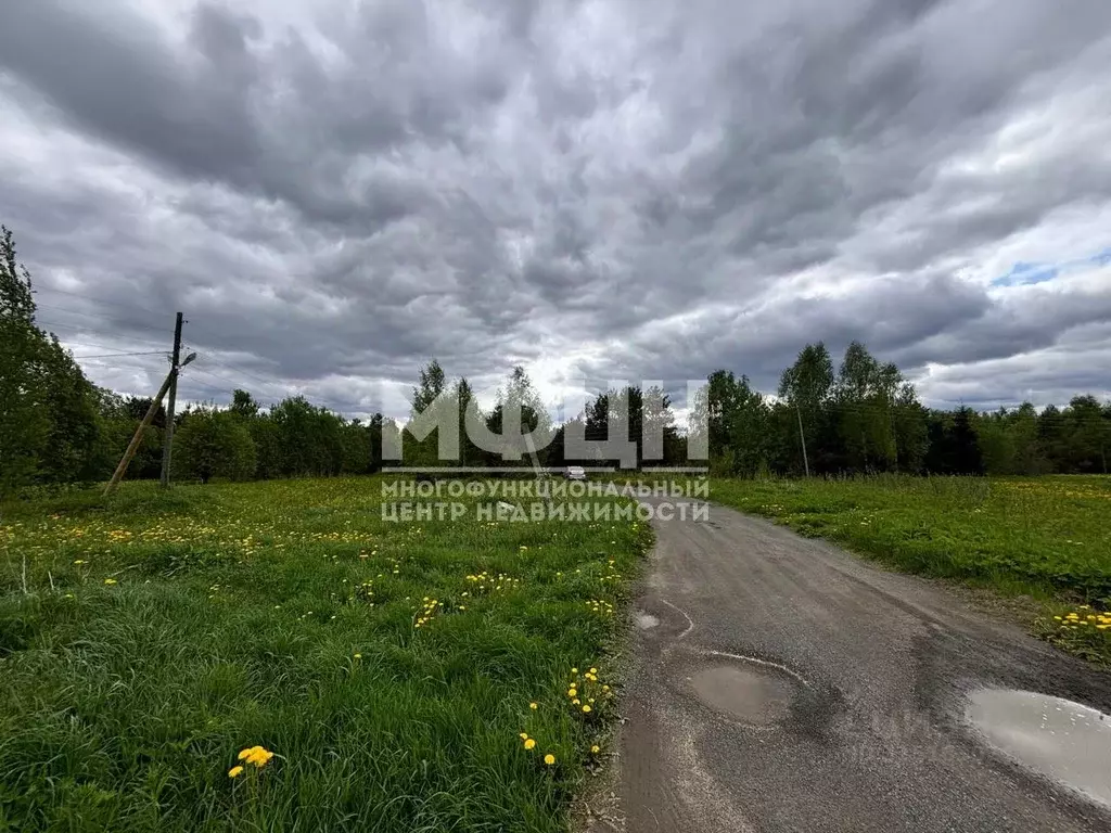 Участок в Карелия, Прионежский район, Деревянское с/пос, Педасельга ... - Фото 1