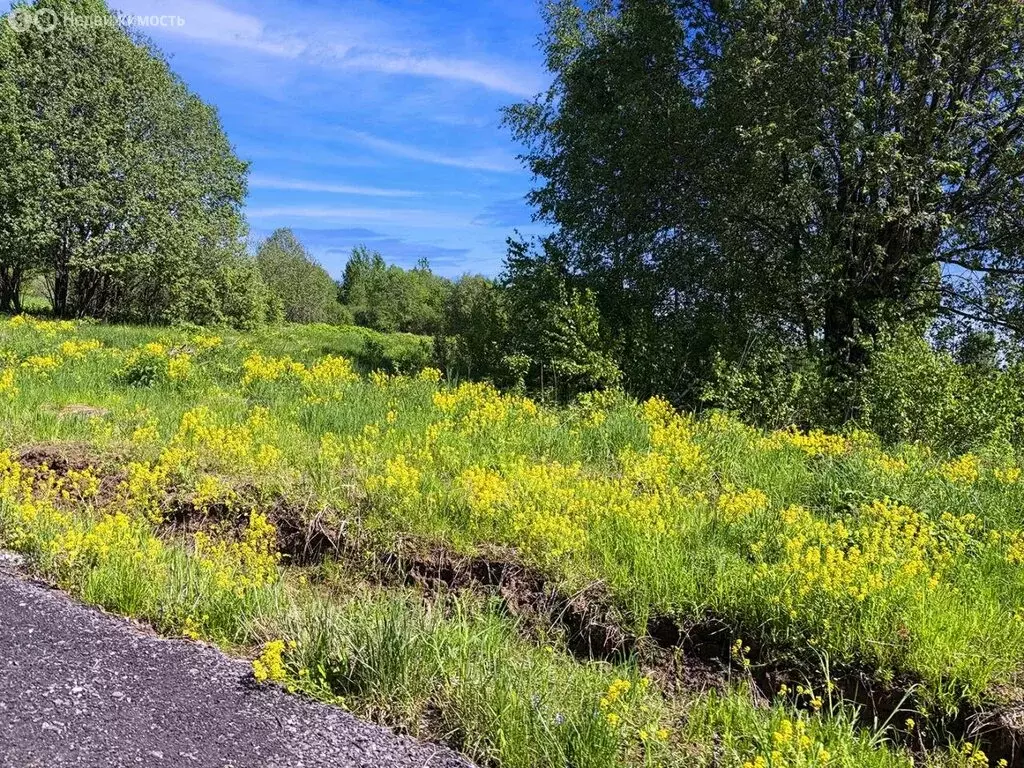 Участок в Московская область, городской округ Клин, КП Коськово, 247 ... - Фото 2