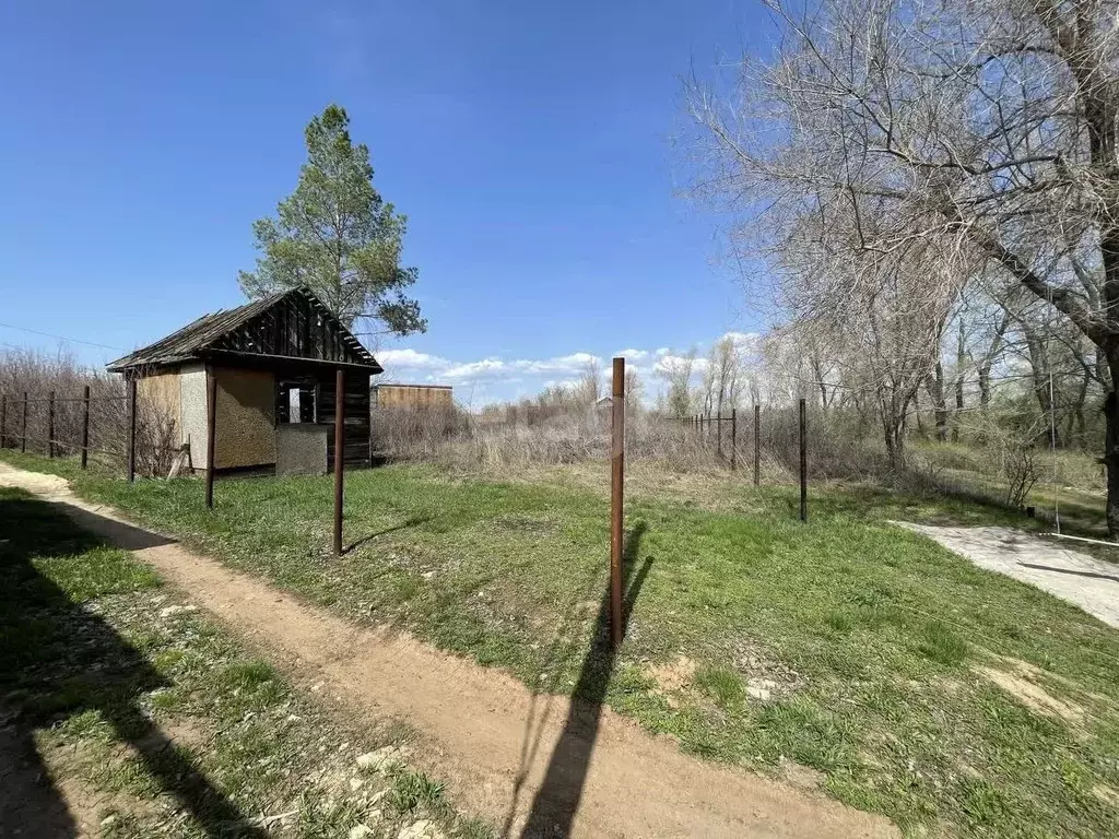 Участок в Оренбургская область, Оренбургский район, Нежинский ... - Фото 1