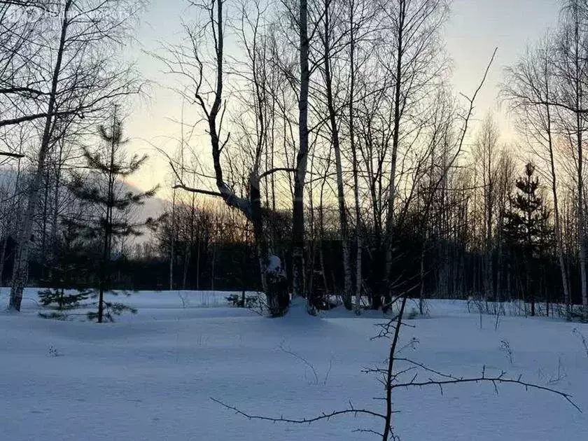 Участок в Нижнетавдинский район, Ключевское сельское поселение (10 м) - Фото 1