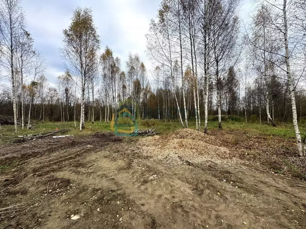 Участок в Ленинградская область, Всеволожск Румболовская ул. (14.5 ... - Фото 2