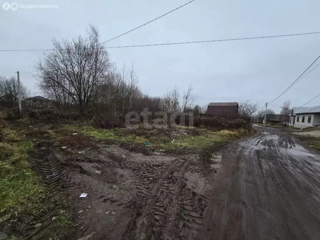 Участок в Добрунь, садоводческое некоммерческое товарищество Пищевик ... - Фото 1